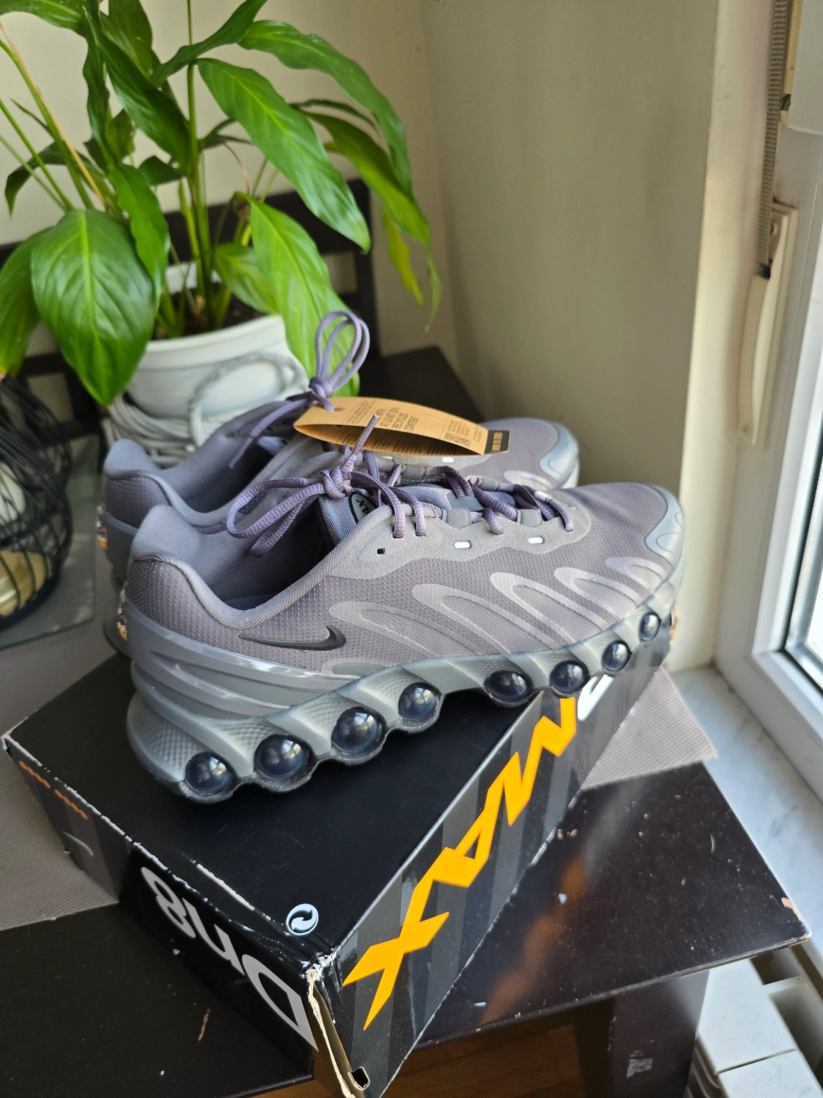 Zapatillas Nike Air Max DN8 Talla 44 - ¡Nuevas con etiquetas! 